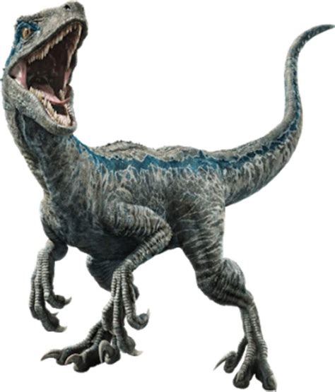 Jurassic World Raptors Blue Jurassic World Jurassic World Fallen Kingdom Velociraptor