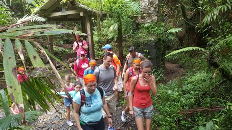Photos From El Yunque Hike In Puerto Rico HIKE For Mental Health