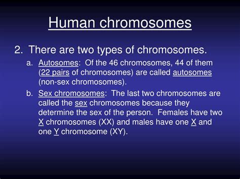 Ppt Chapter Human Heredity Powerpoint Presentation Free