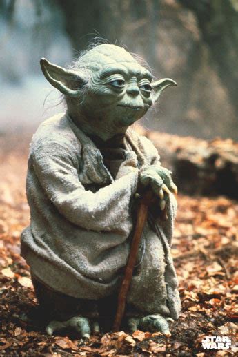 Star Wars Yoda Poster Sold At Europosters