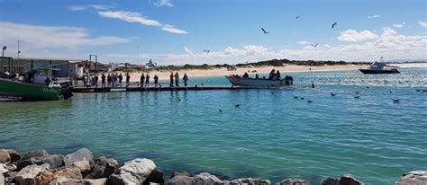 Online service planet of hotels offers to book residences in struisbaai. GREEN'S ACCOMMODATION Struisbaai & Cape Agulhas ...