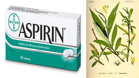 History Of Aspirin Willow Bark Extract