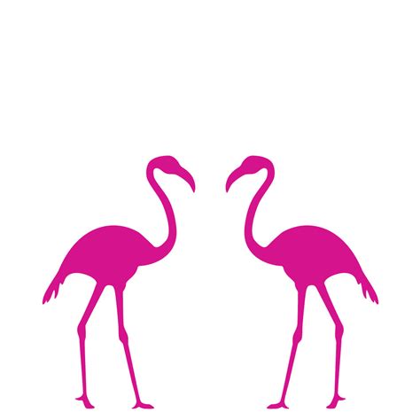 Flamingo Wall Decal Set Lulukuku