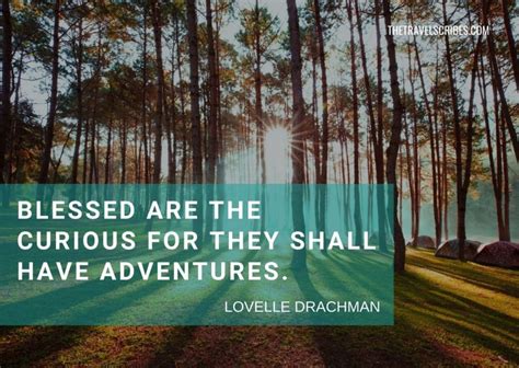 Picking your campsite and deciding what to pack. 🏕 Camping Quotes | 200 of the best camping captions for Instagram