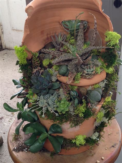 Succulent Broken Pot
