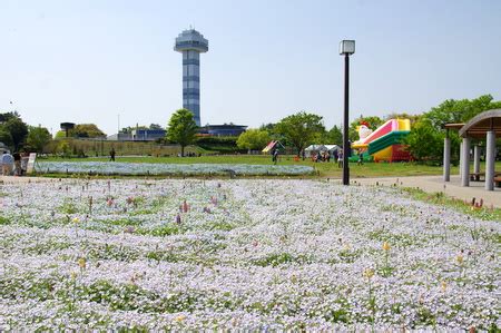 木曽三川公園 春の花物語: ぶらり旅