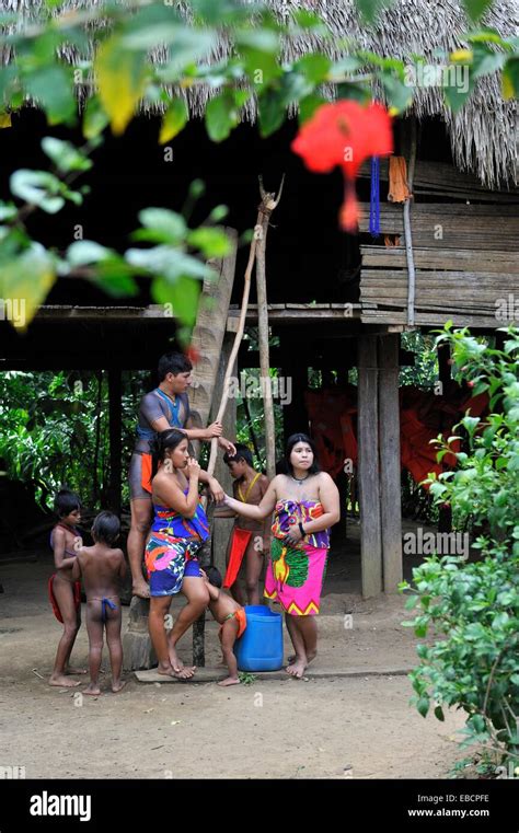 Familia De Embera Comunidad Nativa Viviendo Por El Río Chagres En El