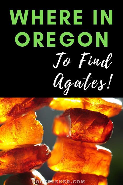 Where To Find Oregon Agates Plus Tips For Finding Them Oregon