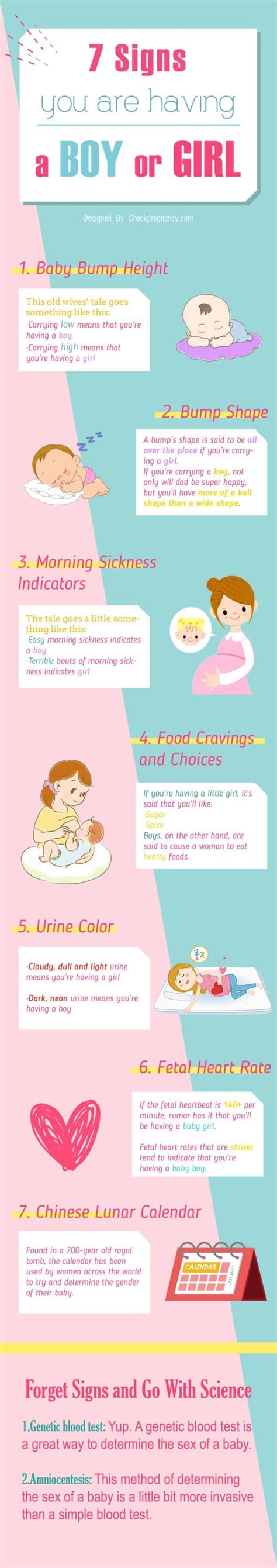 Signs That You Are Having A Boy Or Girl Pregnancy Boy Or Girl Third