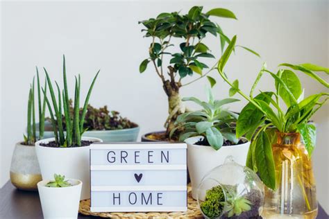 6 Eco Friendly Home Products You Need To See Home And Garden