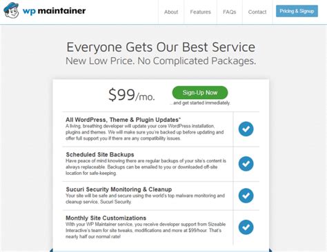 Wordpress Maintenance Services 11 Leading Companies To Consider