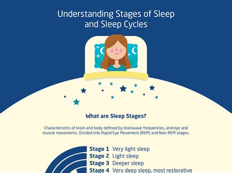 infographic stages of sleep and sleep cycles stages of sleep sleep cycle slow wave sleep