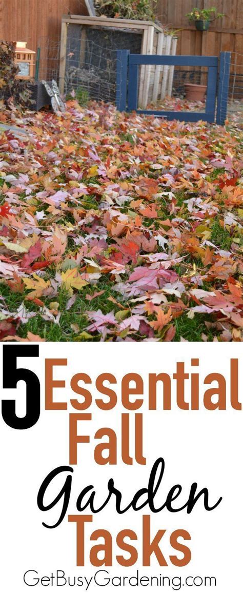 Take The Stress Out Of Fall Cleanup With This List Of 5 Essential Fall