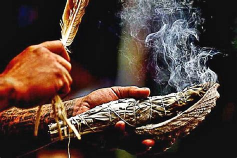 The Science Of Smudging How Sage Actually Cleans Bacteria In The Air
