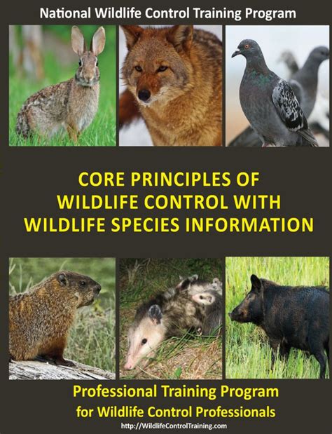 Certifications Internet Center For Wildlife Damage Management