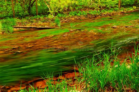 Forest River In The Fall Stock Image Image Of Perspective 3392825