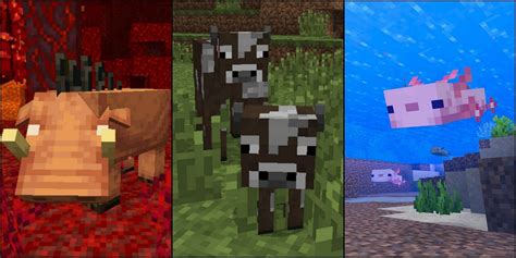 Full List Of Breedable Mobs In Minecraft 2022