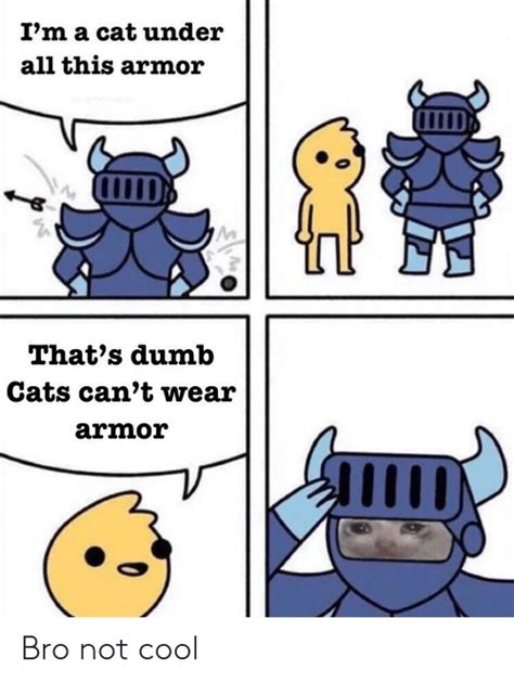 Im A Cat Under All This Armor Thats Dumb Cats Cant Wear Armor Bro