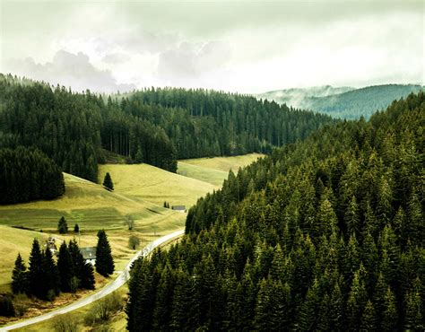 What To See In The Black Forest • Everythingaboutgermany