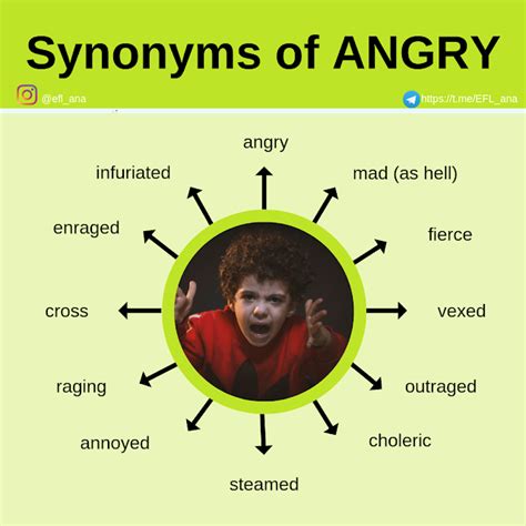 Everyone Synonym