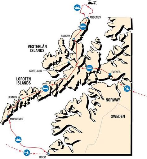 Whales And Seabirds Of Norways Lofoten Islands Naturetrek Wildlife