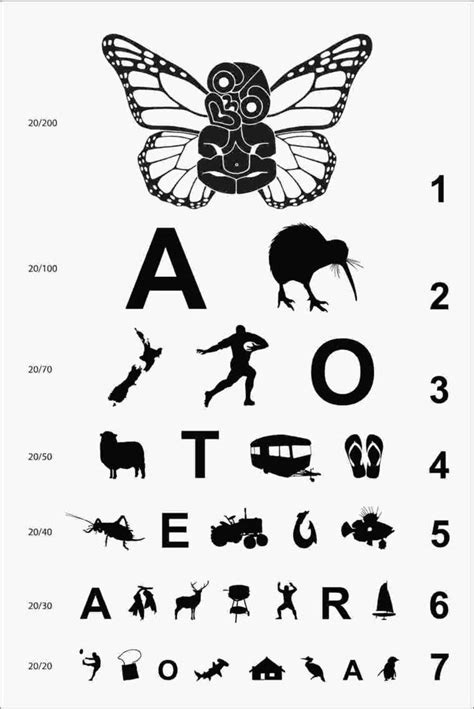 211 Best Images About Eye Chart On Pinterest