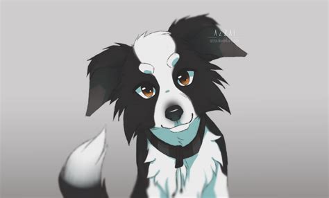 Border Collie By Azzai On Deviantart Cat And Dog Drawing Dog Drawing