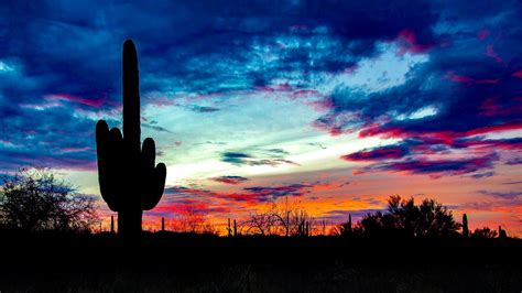 Nature Landscape Sunlight Sky Clouds Saguaro National Park Usa