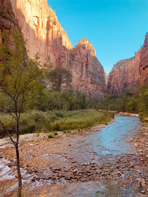 Readerbuzz Hiking In Utah The Narrows Zion National Park