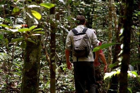 Hiking Through The Amazon Jungle Jonrawlinson Flickr