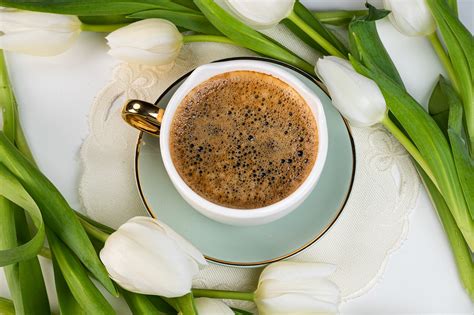 Coffee Tulips Flowers Free Photo On Pixabay