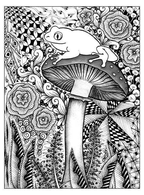 Today i have a fun free owls and mushrooms coloring page! Frog on a mushroom - Flowers Adult Coloring Pages
