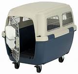 Airline Approved In Cabin Pet Carrier Photos