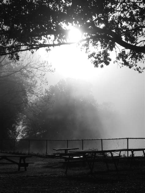 Photo By Erin Mwenya Foggy Morning On The St Joseph River Foggy