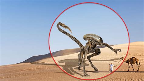 5 Times Alien Caught On Camera And Spotted In Real Life