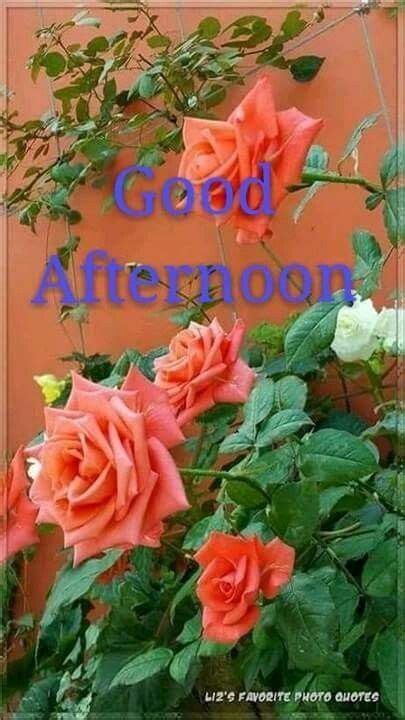 afternoon messages good afternoon quotes good morning good evening greetings morning