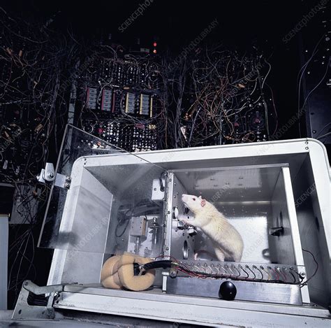 Skinner Box Stock Image G3520279 Science Photo Library
