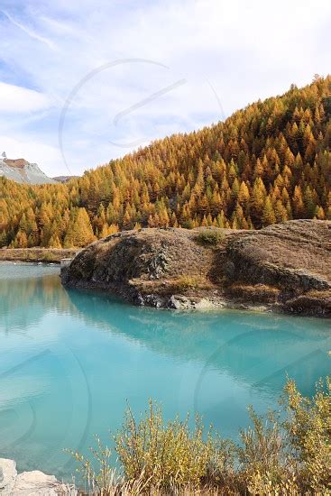Turquoise Blue Lake With Yellow And Orange Larch Trees In Autumn