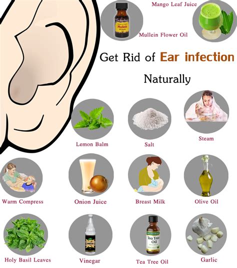 Home Remedies For Ear Infection For Babies Babbies Cip