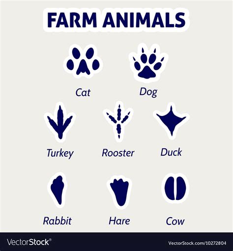 Farm Animals Footprint Stickers Royalty Free Vector Image