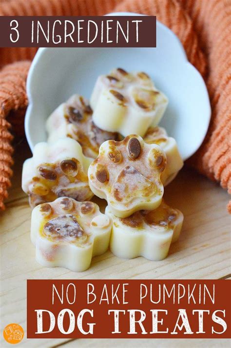 Pumpkin pie spice is a combination of spices that include cinnamon, nutmeg, ginger, and cloves. Easy Pumpkin No Bake Treats for Dogs (Just 3 Ingredients ...
