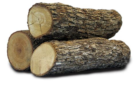 Log Png 10 Free Cliparts Download Images On Clipground 2024