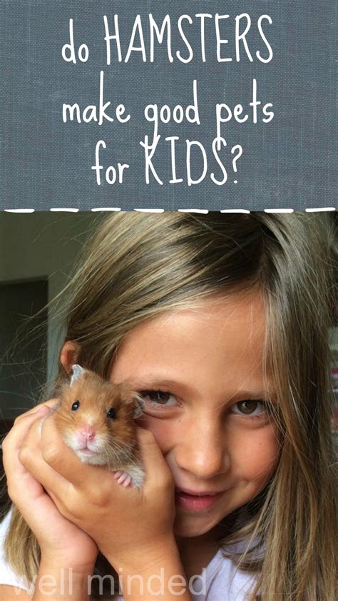 Is Your Child Begging For A Hamster Do Hamsters Make Good