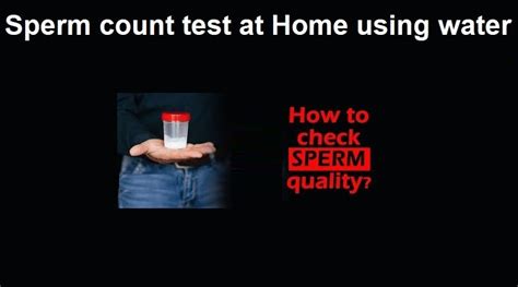 Sperm Count Test At Home Using Water Is It Useful Helal Medical