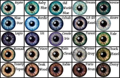 Eye Color Chart Very Similar To Supernovas Глазки Eye Color Chart