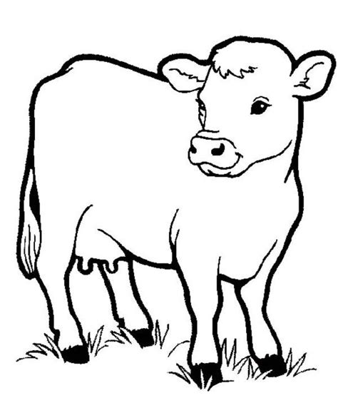 Animal coloring pages for kids are an excellent way to learn about these or those animals who inhabit our planet. Healthy Milch Cow in Farm Animal Coloring Page | Animais ...