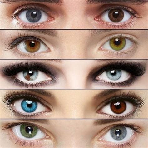 От чего зависит цвет глаз у человека таблица зависимости Как