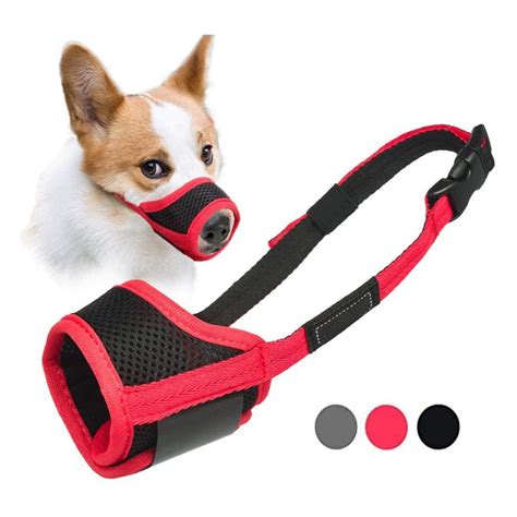 Top 10 Best Dog Muzzles In 2022 Reviews Show Guide Me