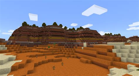 Cacti are really useful, surprisingly. Top 15 Minecraft Best Biomes | GAMERS DECIDE