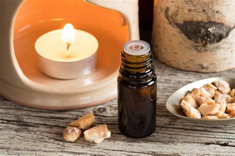 The main consideration when you are choosing a substitute to soybean oil is the flavor. The Complete List Of Essential Oil Substitutes (80+ Oils ...